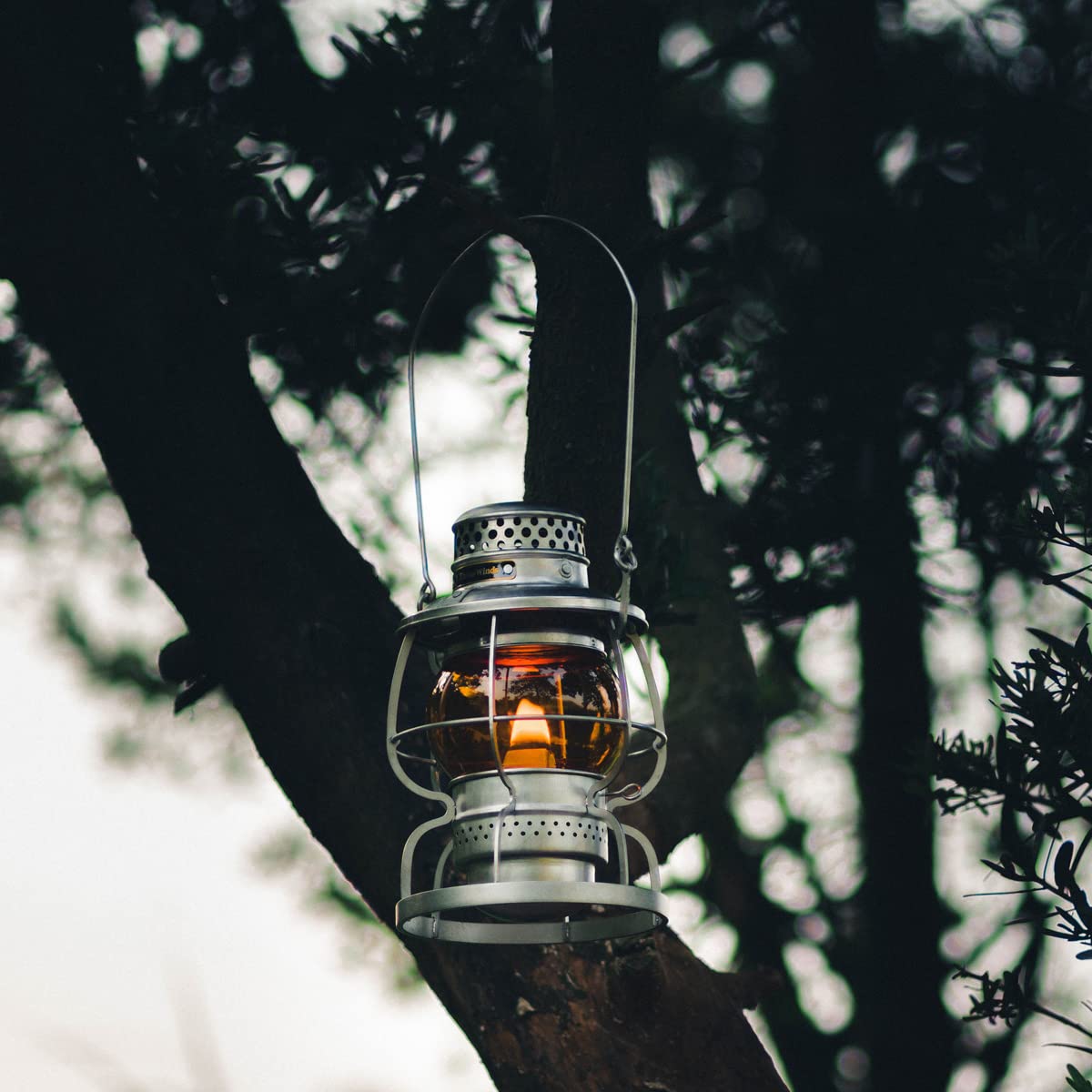 Amazon.co.jp: Thous Winds オイルランタン ホヤ ランタン グローブ